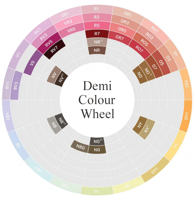 Seint Demi Color Wheel